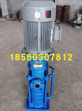 40LGx2x3x4x5x6x7x8x9x10立式多级高层建筑给水泵 消防增压泵