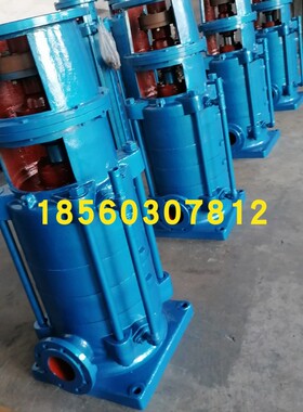 100DLRx2x3x4x5x6x7x8x9x10x11x12热水泵立式多级泵 博山水泵