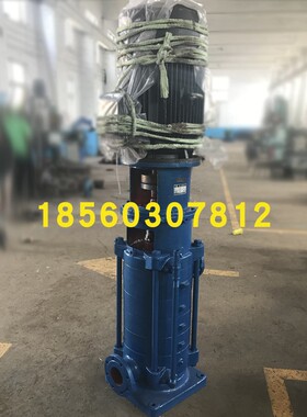 150DLRx2x3x4x5x6x7x8x9x10 热水泵 立式多级离心泵 高扬程增压泵
