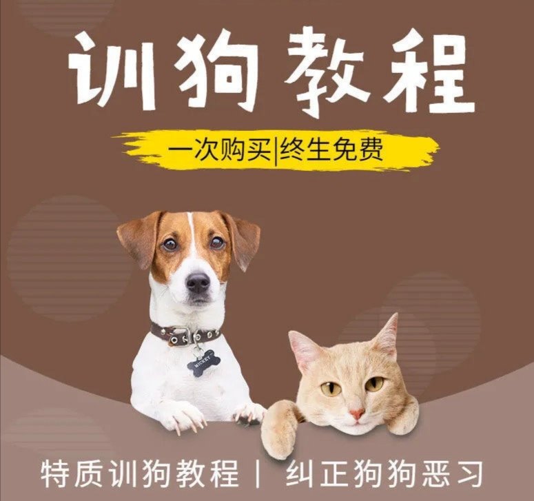 训狗视频教程狗狗训练上厕所捡东西金毛萨摩耶泰迪柴犬全套课程