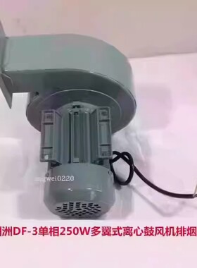 上海洲洲DF-3单相250W多翼式离心鼓风机排烟通风机 3050号 6.83KG