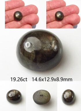 天然19.26克拉柬埔寨黑色星光宝石 6线星光 金刚光泽15X13