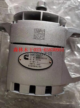 康明斯柴油发动机无刷发电机3016627 4060811 20SI山推发电机配件