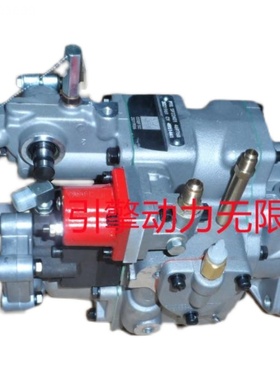 康明斯柴油机3655100 3655101 3655214 3655215 3655223 PT燃油泵