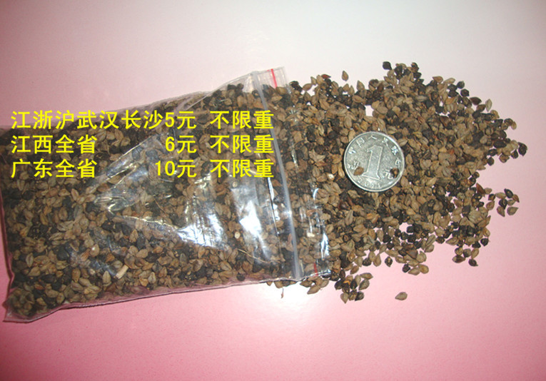 9省3元運費不限重 倉鼠 鳥零食蕎麥100克
