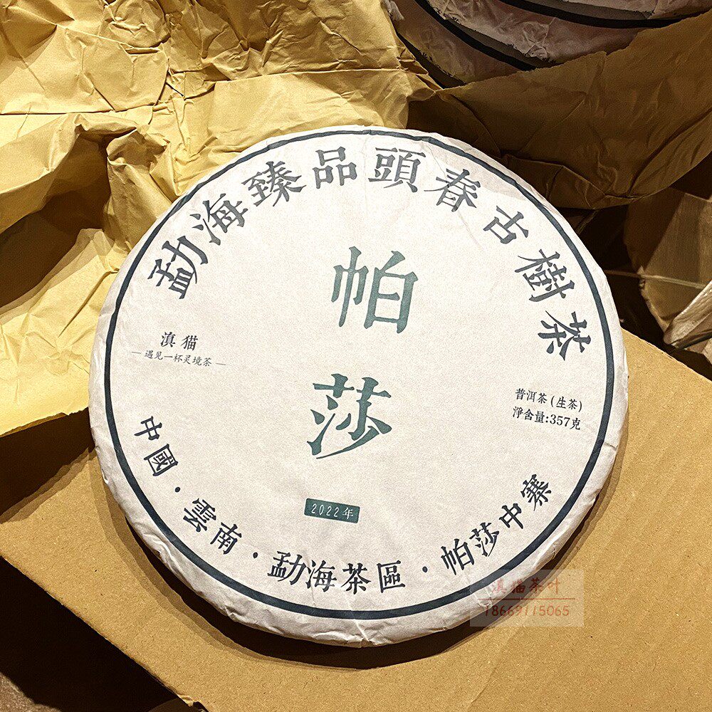 【2022年帕莎古树茶】勐海帕沙普洱生茶饼357g 兰花香纯料头春茶