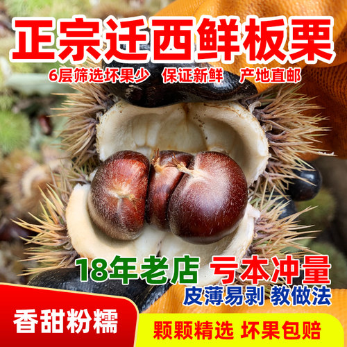 25年迁西新鲜板栗正宗百年老树生板栗生新鲜河北燕山野生毛栗子