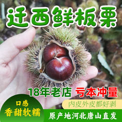 25年【老树品种】迁西生鲜板栗正宗燕山京东板栗香甜软糯大粒中粒