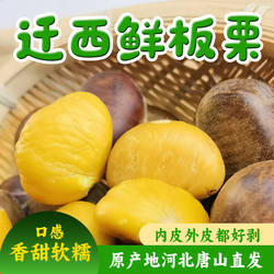 25年【3113】迁西生鲜板栗正宗燕山京东板栗香甜软糯大粒中粒