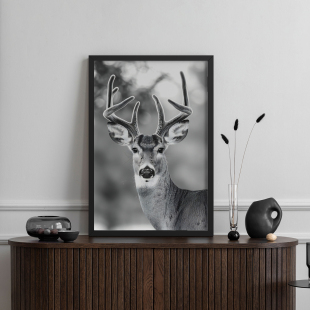 凝视 饰画挂画艺术框北欧油画壁画 鹿客厅卧室沙发玄关动物黑白装