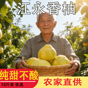 永州湘超特产江永香柚老树柚纯甜不酸水分足新鲜水果当季沙田柚