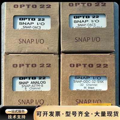 美国奥普图模块 OPTO22 SNAP-AITM-8