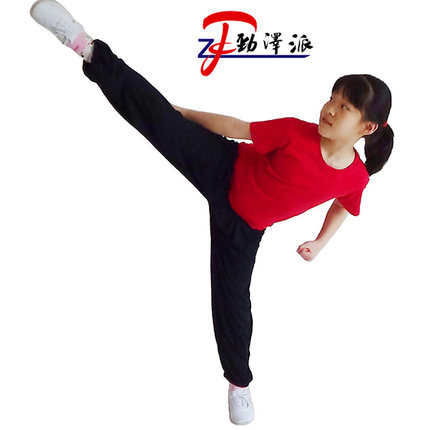 儿童武术裤春夏莫代尔戏曲练功裤训练裤高弹力功夫成人太极灯笼裤