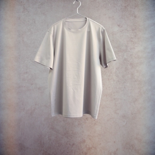 灰色绢丝棉短袖 新款 打底衫 圆领男款 T恤 云芝元 短袖 26春季
