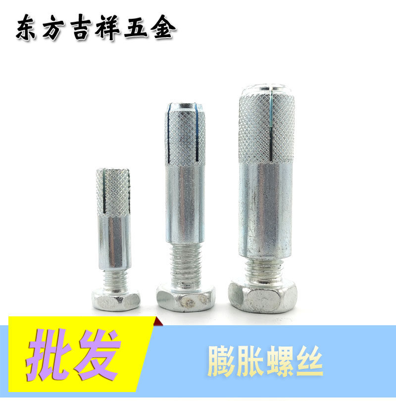 内膨胀螺丝内爆壁虎内迫式膨胀螺栓M6M8M10M12M14M16M20图片