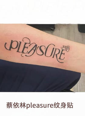 蔡依林pleasure纹身贴手臂手腕辣妹个性高级草本果汁仿真防水持久