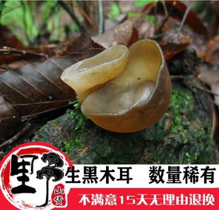 500g野生小碗耳黑木耳干货野生木耳通江椴木木耳糯无硫无加工软糯