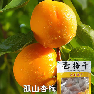 丹东特产大孤山杏梅干零杏干添加无核杏梅干果脯干孕小孩妈放心吃