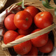 阿本丽云南沙瓤多汁西红柿露天农家自然熟小番茄新鲜蔬菜纯粹味道