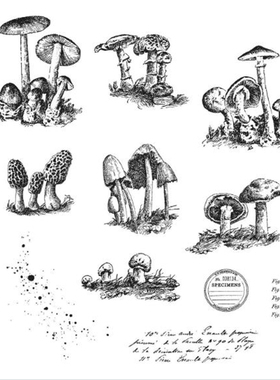 Tim holtz 小小蘑菇朵 Tiny Toadstools 进口橡皮印章