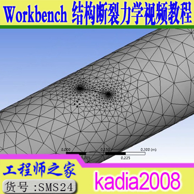 ANSYS Workbench 结构断裂力学数值模拟技术视频教程