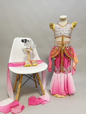 古典舞敦煌反弹琵琶飞天舞演出服