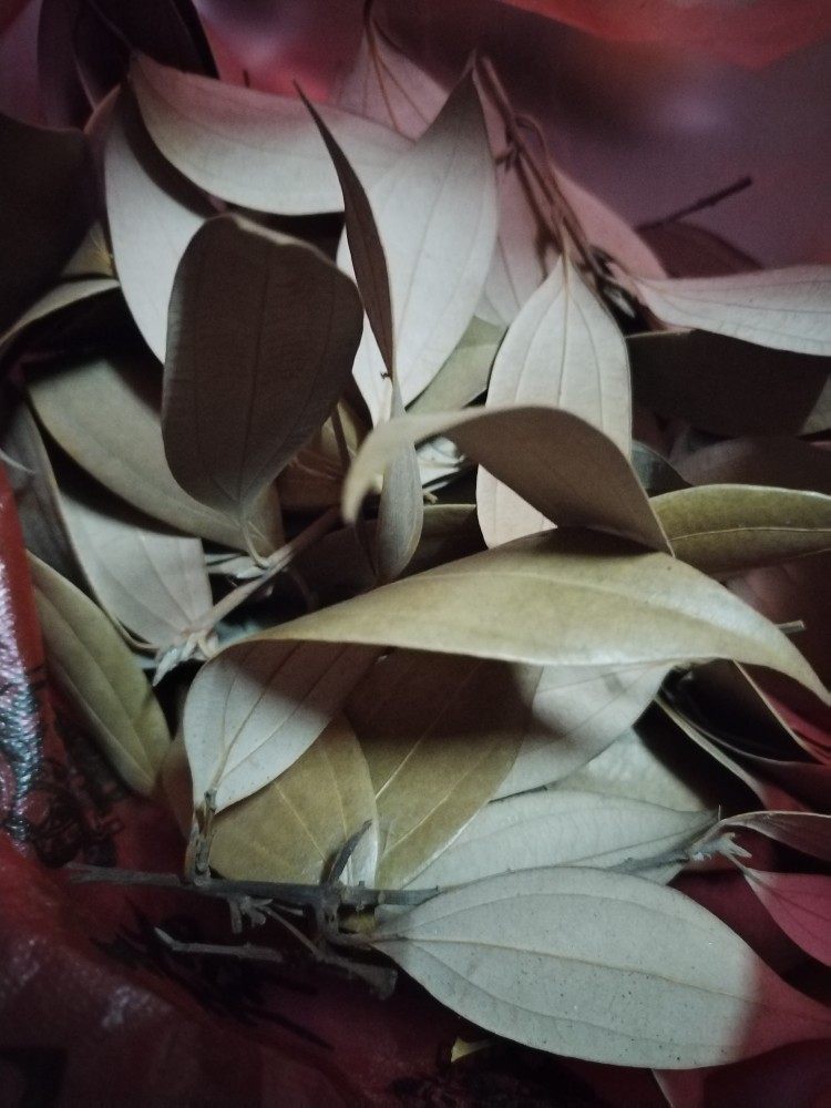 鱼桂叶月桂叶香叶桂叶天然香料八角桂皮特产干货卤料调料湖南新宁