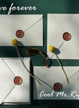 浅灰色浪漫信封套装 配火漆章loveforever/cool Mr Right横线信纸