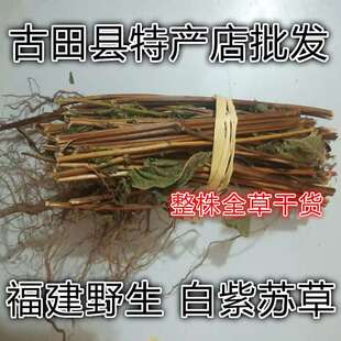 天然白紫苏 苏叶 白苏叶 野苏麻白苏 玉苏子 苏梗 干货500g包邮