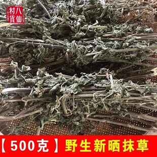 天然抹草 广防风 落马衣 排风草 茉草 土防风草 土藿香500g