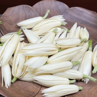 新鲜白玉兰花 黄角兰 黄果兰 白兰花鲜花朵500g包邮