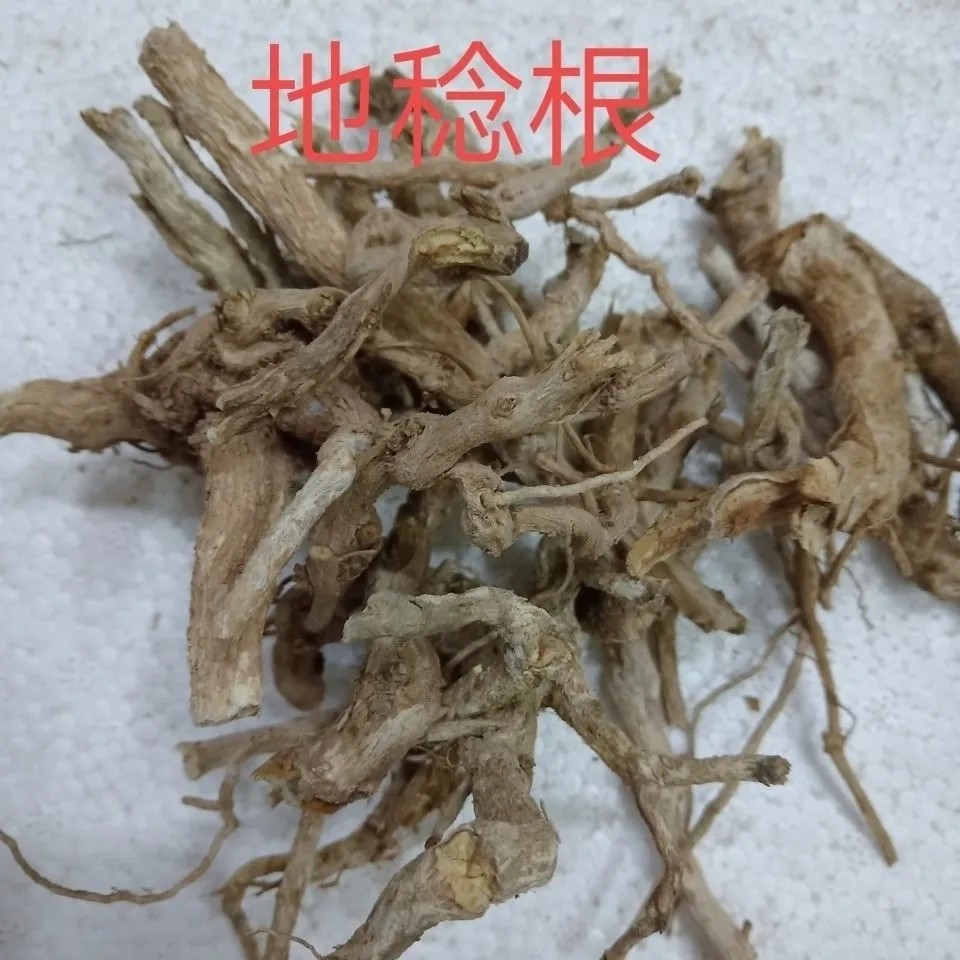新鲜地菍根 地稔根 矮脚菠萝根 地茄子根 铺地锦根 干货500g