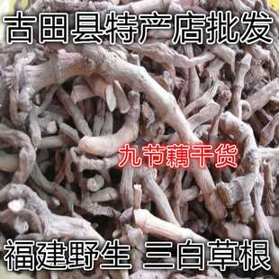 天然三白草根 塘边藕 百节藕 天性草根 九节藕 水木通 500g包邮