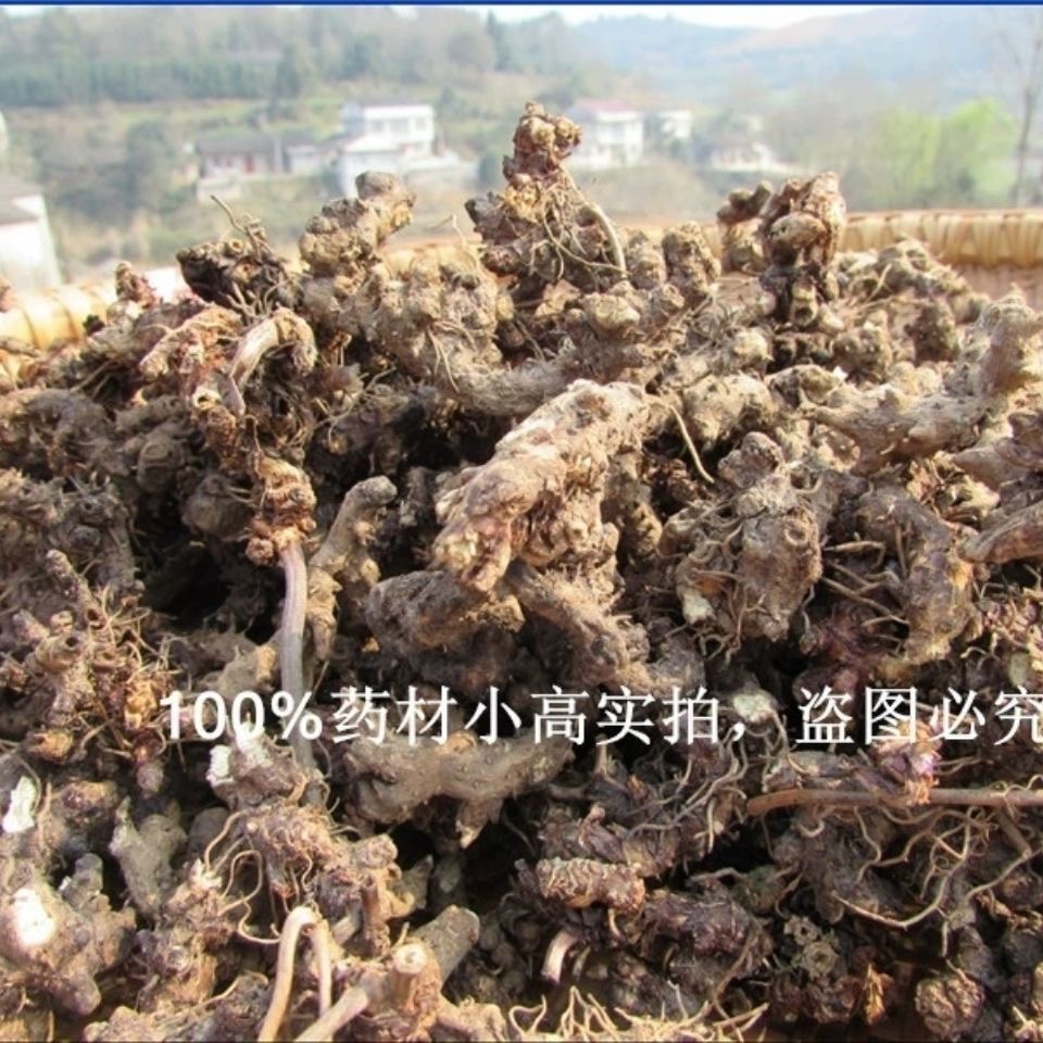 天然淫羊藿根 淫阳藿 仙灵脾 三枝九叶草 洋火叶纯根干货500g包邮