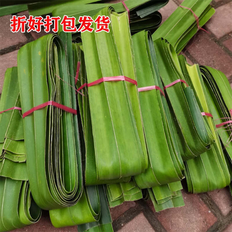 新鲜露兜树叶 山假菠萝叶子 罗金堆 野菠萝叶 勒古叶粽子叶500g