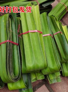 新鲜露兜树叶 山假菠萝叶子 罗金堆 野菠萝叶 勒古叶粽子叶500g