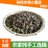 2025年湖北钟祥农家新货生蚕豆老蚕豆干蚕豆胡豆杂粮5斤一件 包邮