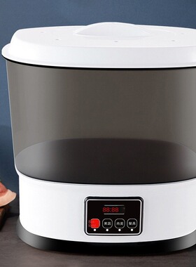 家用自动洗菜机食材果蔬清洗机臭氧消毒超声波食材净化器10L