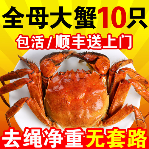 活蟹大闸蟹鲜活螃蟹全母蟹特大肥美河蟹六月黄10只礼盒装顺丰包邮