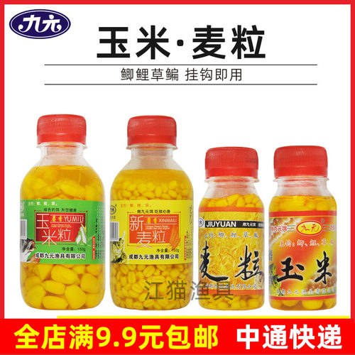 九元麝香玉米粒麦粒鲫鱼鲤鱼饵料