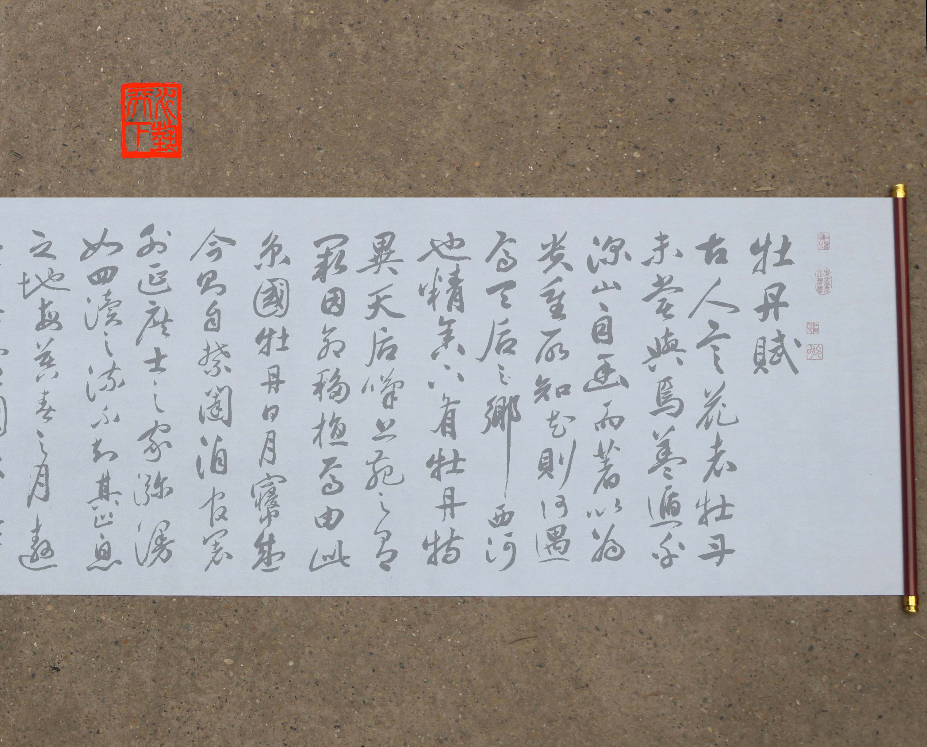 祝允明行草书 牡丹赋水写布 中学生毛笔书法清水万次循环练字帖