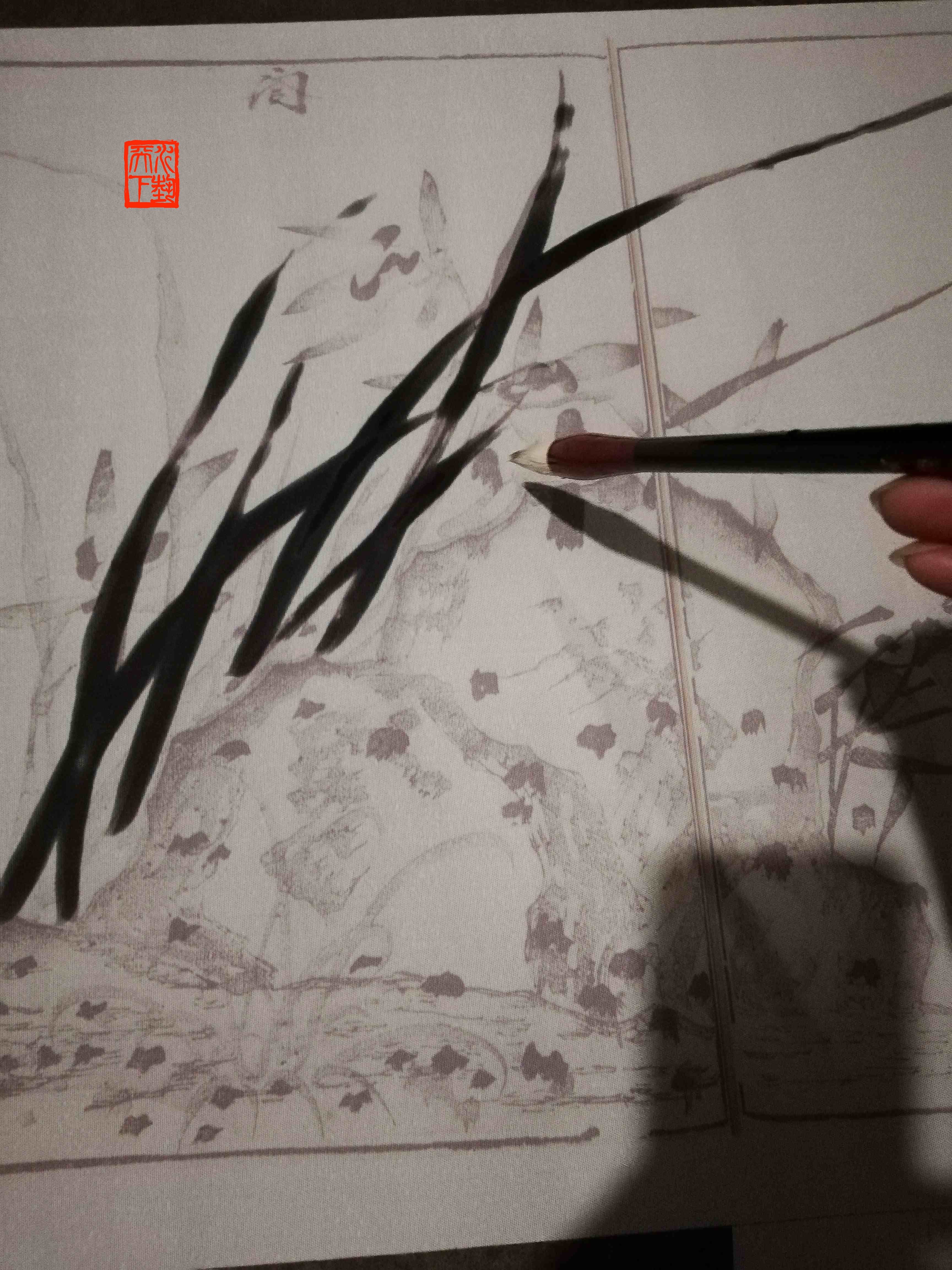 国画芥子园画谱水写布  兰花谱清水万次练习