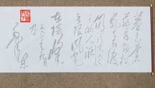 毛泽东-七绝 庐山仙人洞水写布毛体书法清水练字描红