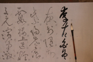 草书张旭的狂草 李青莲序 水写布 毛笔书法练字