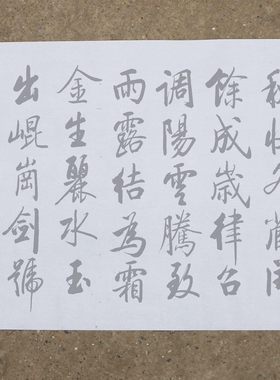 启功千字文墨迹版万次描红水写布