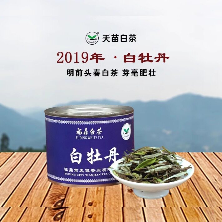 天苗白茶特级前头福鼎50g罐装