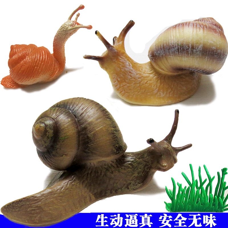 仿真蜗牛动物模型儿童认知玩具
