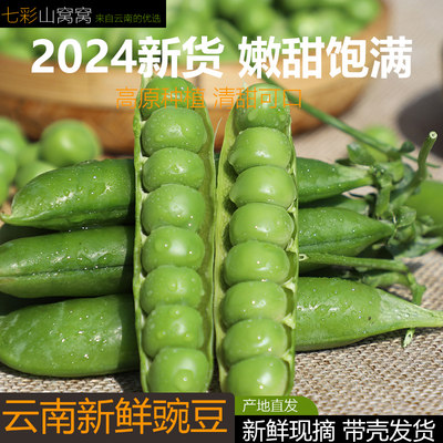 2024云南新鲜豌豆5斤/9斤 带壳水果豌豆甜豆农家自种现摘新鲜蔬菜