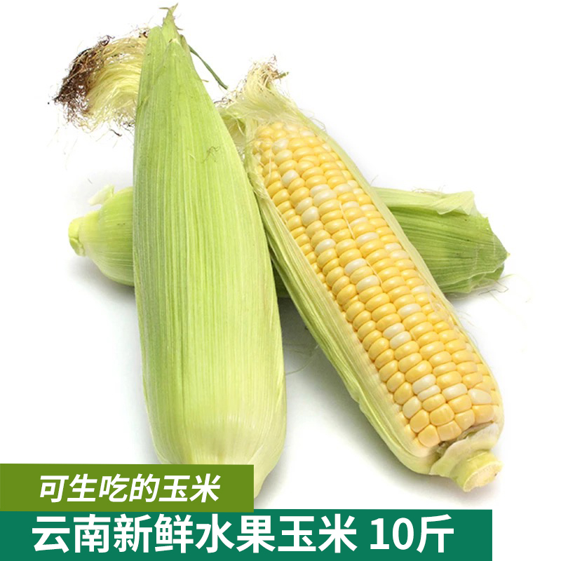 ʰ̹½ ÔÆÄÏÐÂÏÊÌðÓñÃ× ÐÂÏÊË®¹ûÓñÃ×°ôÄÛ´à°ü¹ÈÏÖÕªÏÖ·¢10½ï°üÓÊ