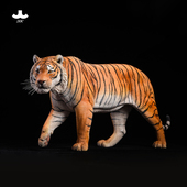 仿真动物工艺品摆件老虎周边装 6孟加拉虎模型 饰手办GK雕像 JXK